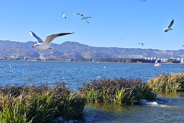消音降噪材料廠家利用臉書社交媒體營(yíng)銷開展海外市場(chǎng)